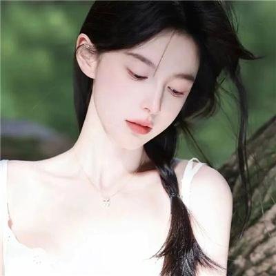 暗影王冠封面